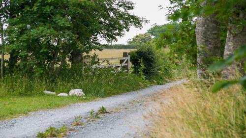 Bangor House | Brithdir Mawr