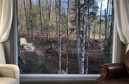 Washington Cottage | Brookside cabin on Budding Homestead