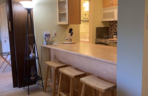 Mount Jackson Condo | Bryce Resort - sleeps 4
