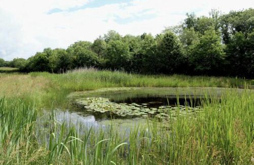 Pentrefelin House | Bryn y Cadno