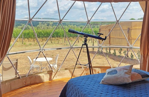 Suvereto Other | Bubble Room with a view of Tuscan vineyards | Le Stelle di Elisa - Wine Truffle Glamping