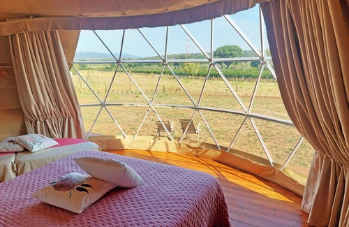 Suvereto Other | Bubble Room with a view of Tuscan vineyards | Le Stelle di Elisa - Wine Truffle Glamping