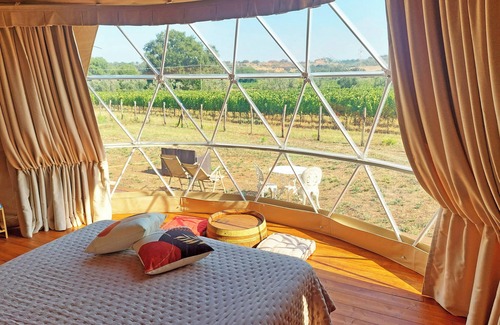 Suvereto Other | Bubble Room with a view of Tuscan vineyards | Le Stelle di Elisa - Wine Truffle Glamping