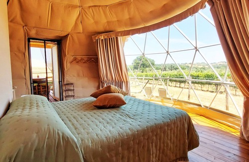Suvereto Other | Bubble Room with a view of Tuscan vineyards | Le Stelle di Elisa - Wine Truffle Glamping