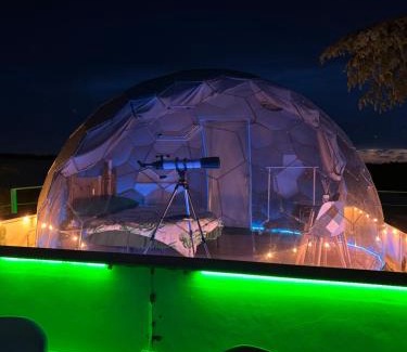 Adelfia Other | Bubble World Wild Love