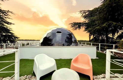 Adelfia Other | Bubble World Wild Love