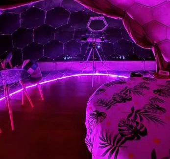 Adelfia Other | Bubble World Wild Love