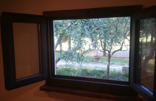 Castel Colonna Apartment | BUBO - Among the plants just a stone's throw from the pool