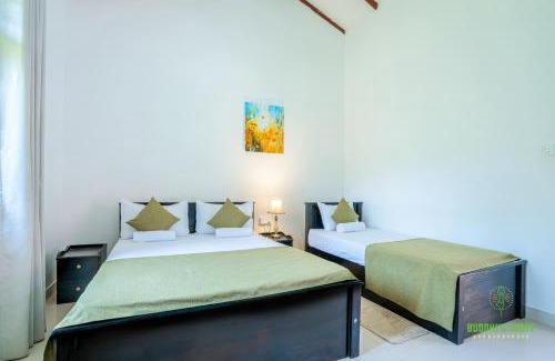 Anuradhapura Resort | Buddhi's Grove