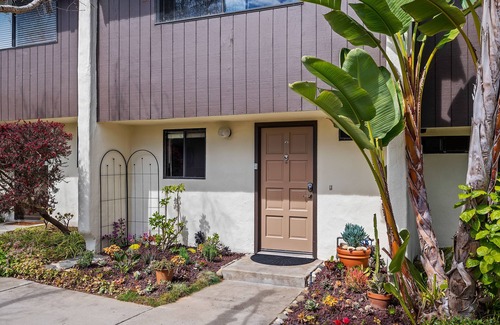 Alta Mesa Condo | BUENA VISTA, Beautiful City Views!