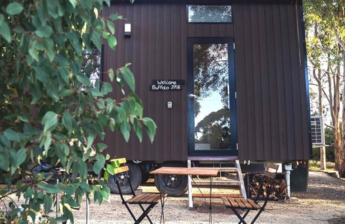 Buffalo House | Buffalo 3958 Summary: