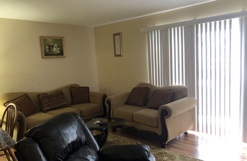 Willert Park House | Buffalo Downtown Condo/WIFI/Air/close to Falls/Spacious/Harbor center close