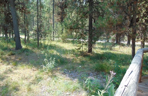 Island Park Cabin | Buffalo River Retreat *Free Wifi, 2Br+Loft, Sleeps 6, Minutes to Buffalo River