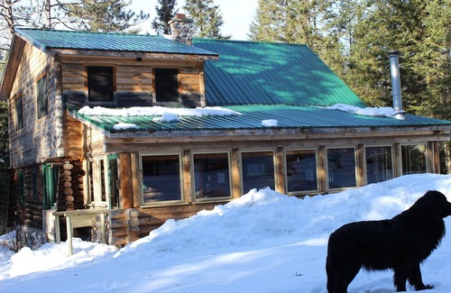 Mason Cabin | Build a fire, listen to trees/stream - Owner in the lodging industry for 30 yrs