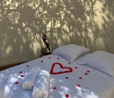 Galeria Other | Bulle du Fangu