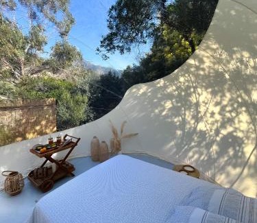 Galeria Other | Bulle du Fangu