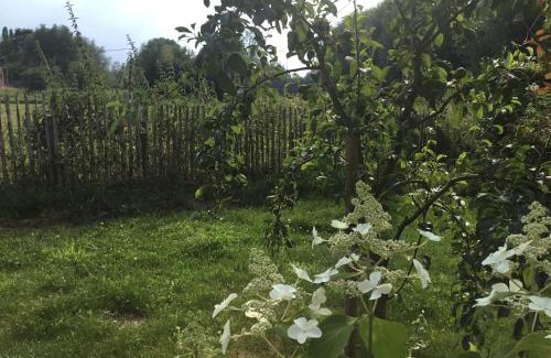 Hergnies Bed & Breakfast | Bulles et Natures B&B