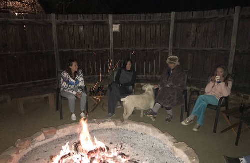 Hekpoort Cottage | Bulls Haven retreat. Interact with tame bulls