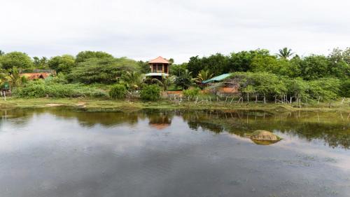 Hambantota Hotel | Bundala Flamingo Cotteges