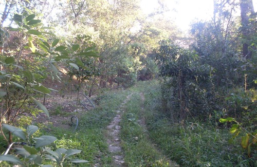 Antananarivo Avaradrano House | Bungalow Dowtown in a Park With Lake, Birdwatch