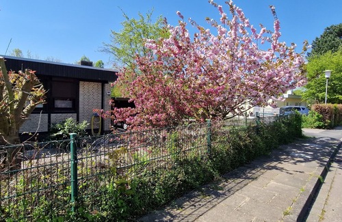 Lensterstrand House | Bungalow for 4 guests with 57m² in Lensterstrand (265510)