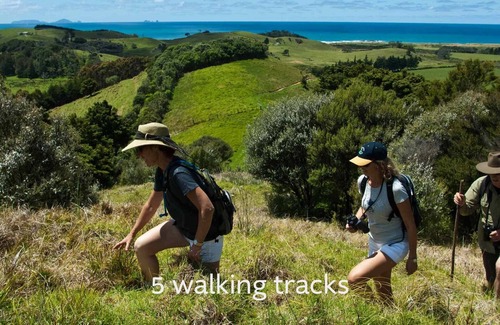 Pataua Cottage | Bungalow in Paradise - Tahi