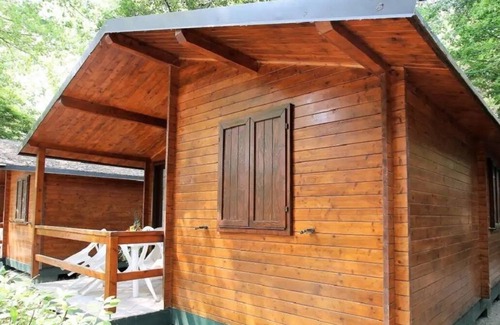 Viareggio House | Bungalow for 5 people in the campsite.
