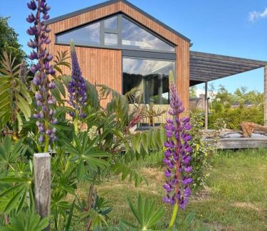 Gasselte House | Bungalow Lupine | 4 personen - Vakantiepark De Kremmer