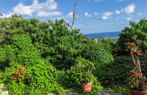 Mazunte House | Bungalow en Mazunte Pueblo mágico, a 10 minutos de la playa