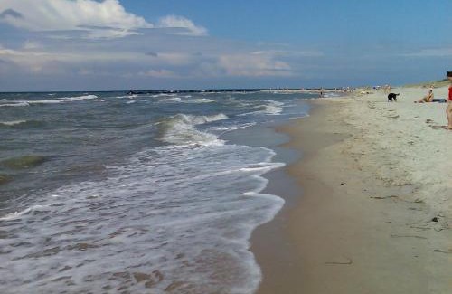 Ostseebad Ahrenshoop House | Bungalow Ostseebad Ahrenshoop Feldweg 23