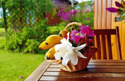 Vila Franca do Campo House | Bungalow São Miguel near Vila Franca Beach