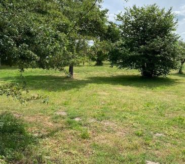 Blengow House | Bungalow zwischen Ostsee und Haff