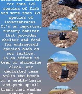 Sugarloaf Key House | Bungalows Beach Key West Palm