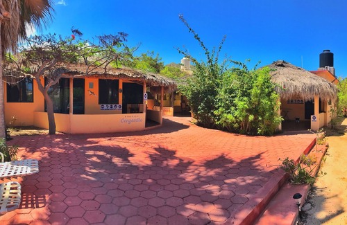 Cabo Pulmo Hotel | Bungalows Cabo Pulmo