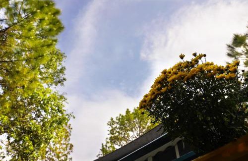 Turkaura Other | Buransh Luxury Tent Retreat in Majkhali
