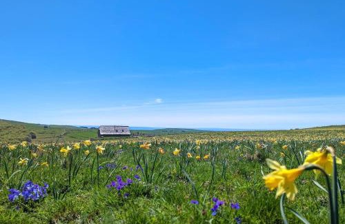 Laguiole House | Buron de Léon, en plein cœur de l Aubrac