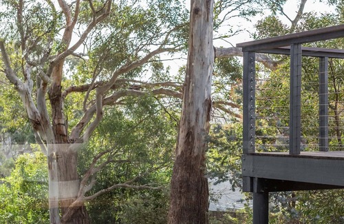 Binalong Bay House | Bush Hideaway