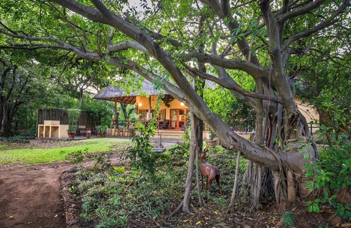 Phalaborwa House | Bush villa at Kruger Park entrance (Phalaborwa)