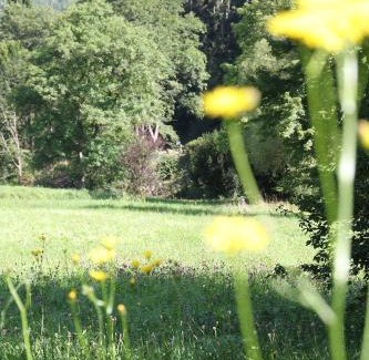 Tiefenbronn Hotel | Business Class Hotel Häckermühle