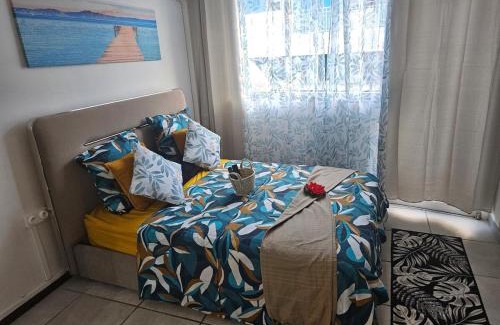 Pointe-a-Pitre Apartment | Business et Relax Studio à Pointe-à-Pitre