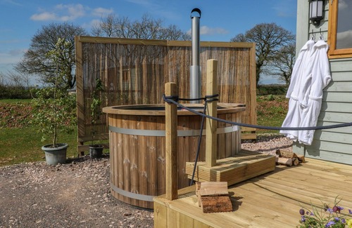 Crediton Cottage | Buzzards