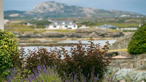 Trearddur Bay House | Bwthyn Alberts