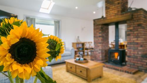 Trearddur Bay House | Bwthyn Alberts
