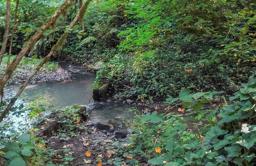 Robinwood House | By the river in the woods