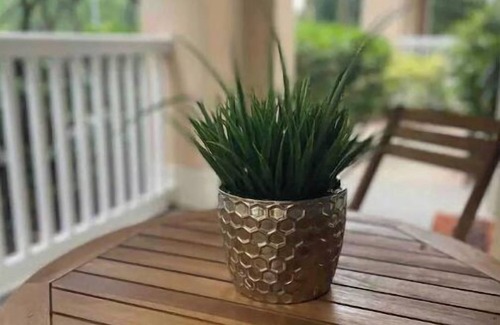 Baldwin Park Condo | By the Sea Style Condo