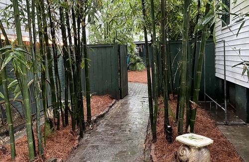 Bywater House | Bywater Wonderland, 2 blocks to the river, close to many good things!