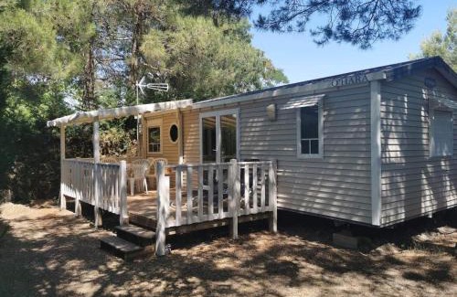 La Roque-d'Antheron Other | Céline et Alain, mobil Home cosy