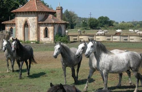 La Roque-d'Antheron Other | Céline et Alain, mobil Home cosy