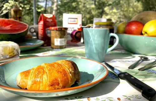 Figanieres Apartment | Côte Dazur : Loue Étage Dans une Domaine de 1,4 ha - 5 Couchages
