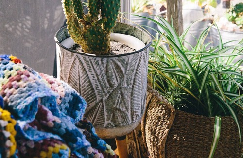 Dodges Ferry House | C l i f f T o p on P a r k unplug & recharge